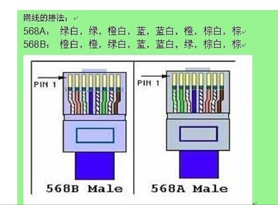 网线接面板怎么接法（网线接面板怎么接法的）