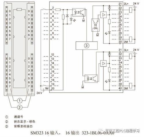 PLC接线端子怎么取（plc的接线端子用的是什么型号端子）-图3