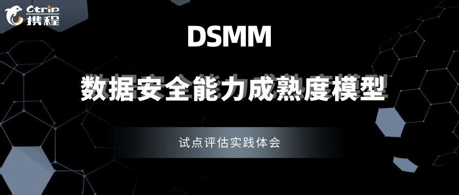 dwdmitu标准（dsmm标准）