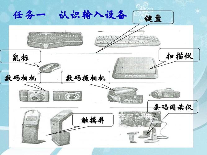 常见的输入设备有（输入设备有哪些）-图2