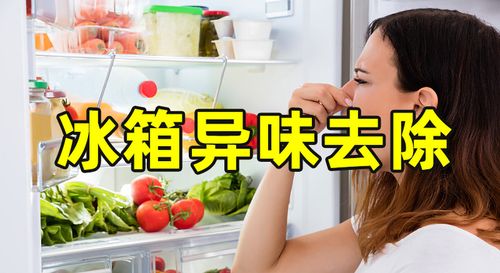 冰箱泄露是怎么回事（冰箱 泄露）-图1