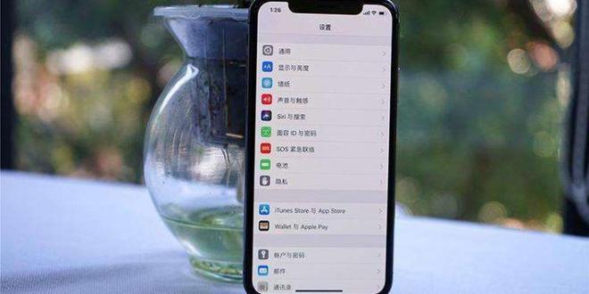 苹果xr设备进入recovery（iphonex进入recovery）-图1