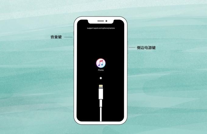 苹果xr设备进入recovery（iphonex进入recovery）-图2