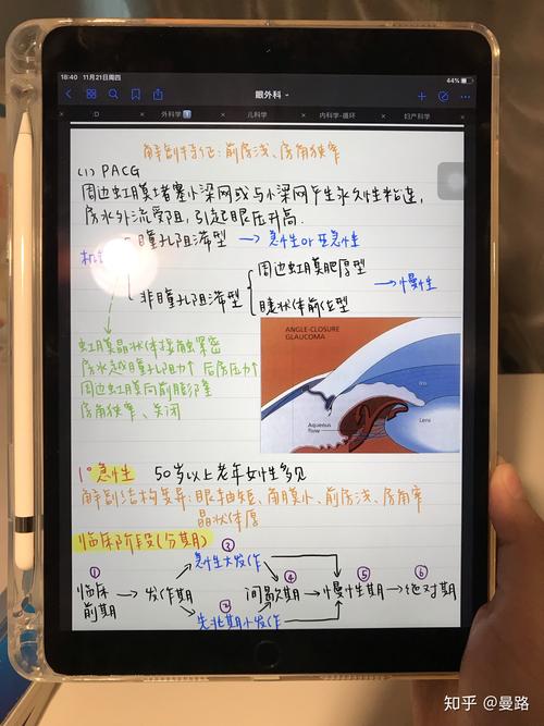 ipad照片文字笔记软件哪个好（ipad照片编辑文字）