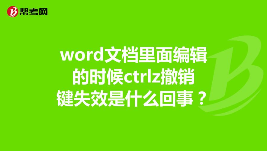 文档撤销键是哪个键（文档撤销键在哪）-图1