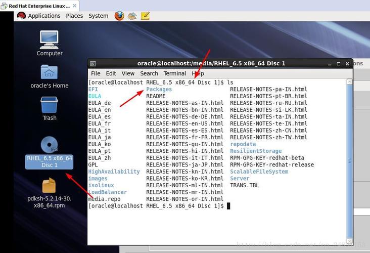 linux安装的目录在哪个文件夹（linux安装的目录在哪个文件夹里面）