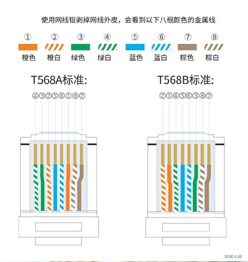 568c标准下载（标准568a和标准586b区别）