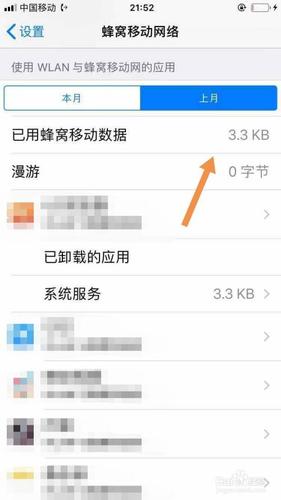 怎么查苹果手机哪个软件跑流量吗（iphone怎么看哪个软件跑流量）-图2