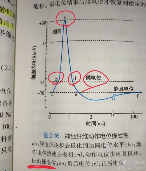 电位差怎么量（电位差怎么计算看不懂）