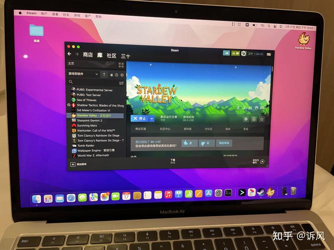 macbooksteam文件夹在哪个文件夹（mac上steam文件在哪）-图2