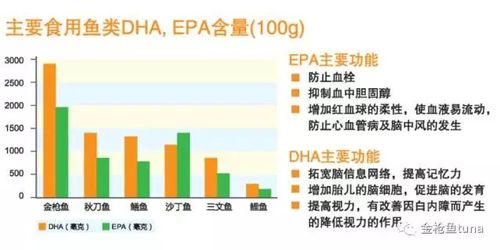 epa标准模型（何谓epa）