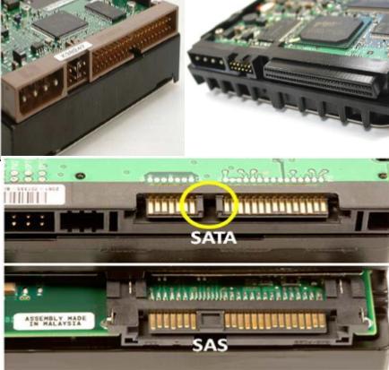 sataexpress接口设备（sata接口和scsi接口图解）-图2