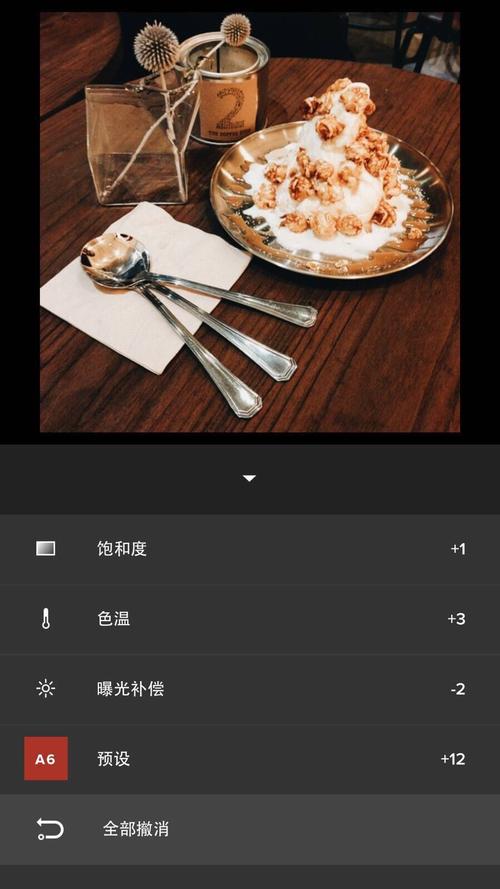 vscocam滤镜哪个好（vsco c7滤镜）-图3