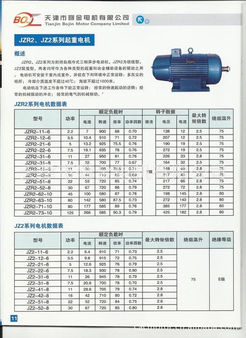 高压电动机耐压标准（高压电动机耐压标准值是多少）-图1