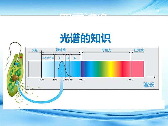 紫外线波长怎么测（紫外线波长测量方法）