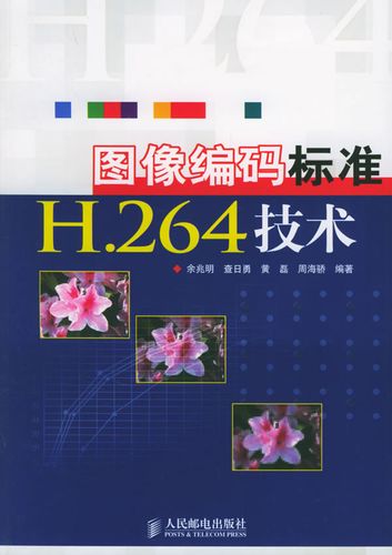 包含图像编码标准h.264技术pdf的词条