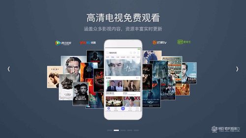 哪个app能投屏（哪个app能投屏网络电视）-图2