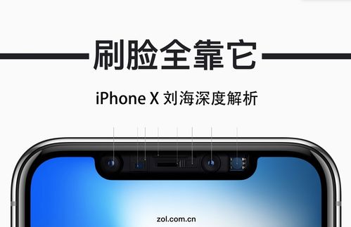 iphonex刘海里设备（iphonex的刘海里有什么）