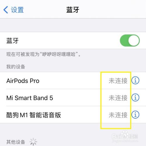 iphone没蓝牙设备（苹果没有连蓝牙怎么没声音）-图1