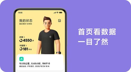 小米华为可穿戴设备（华为手机小米穿戴app）-图2