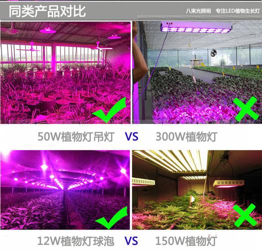 led植物补光标准（植物补光灯与led灯的区别）