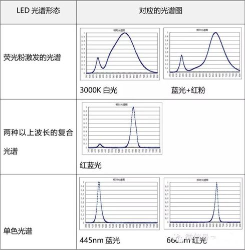 标准a光源（标准a光源光谱）-图2