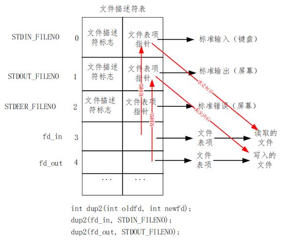 c标准io读文件（io文件读写）-图1