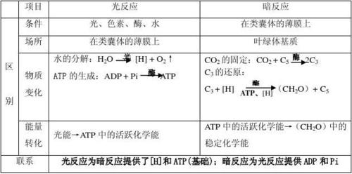 h.261标准（H261标准的基本内容和应用目标）-图2