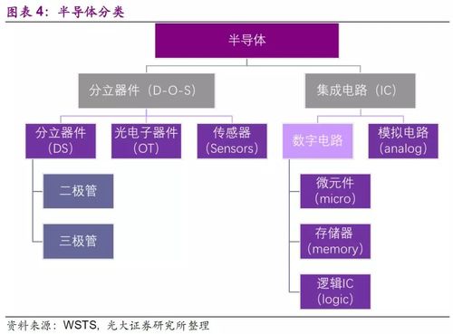 芯片领域分类标准（芯片的分类和认识）-图2