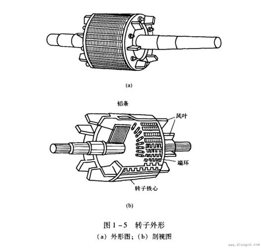 转子怎么装（转子怎么转起来）-图1