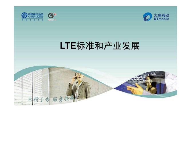 lte标准的（lte标准采用什么）-图3