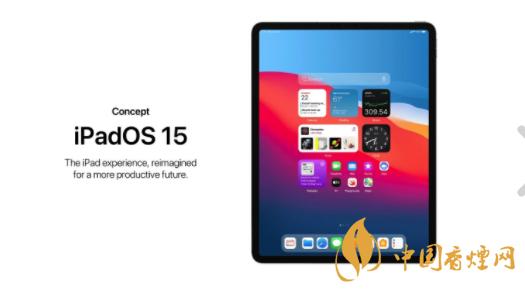 ipados哪些设备（ipados15支持的设备）-图3