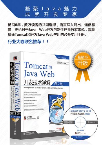 javaweb应用开发哪个书号（java web应用开发书籍）