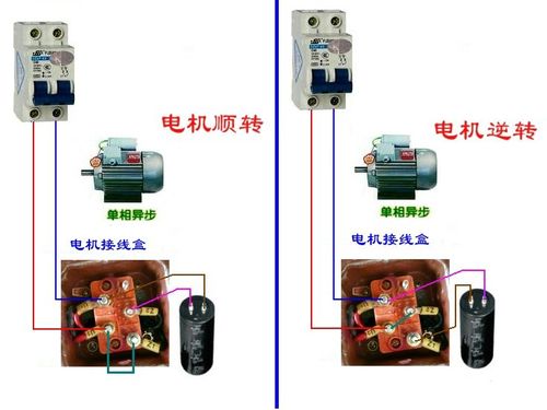 电机怎么转是正转（电机正转视频教程）-图1