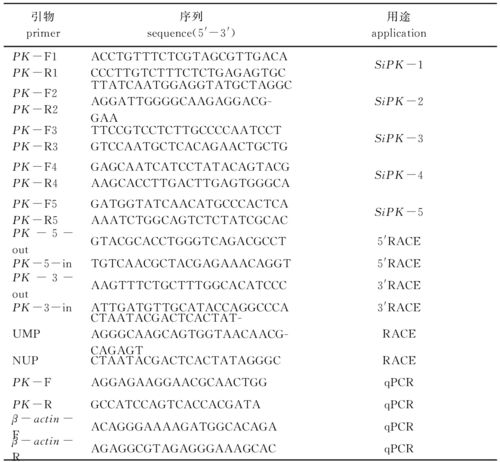 ataf标准（atca标准）