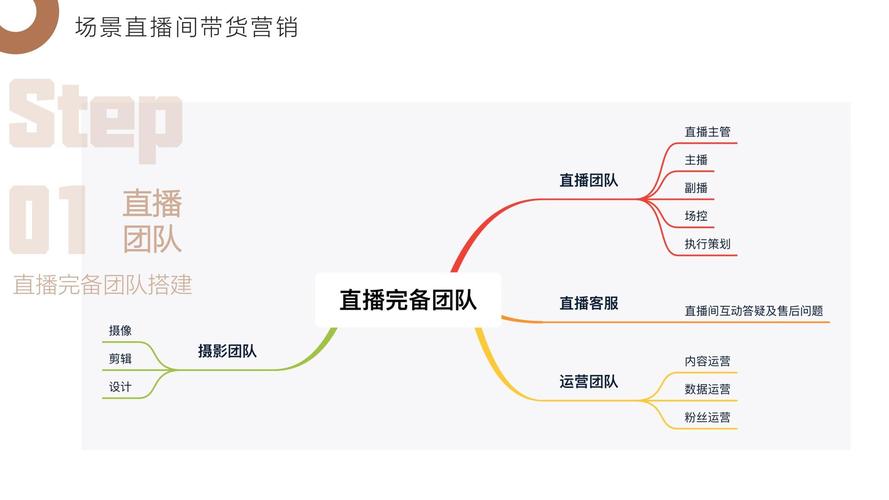 电商直播设备方案（电商直播实施方案）-图2