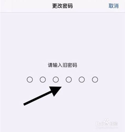 苹果设备上的密码栏（iphone上的密码栏在什么地方）