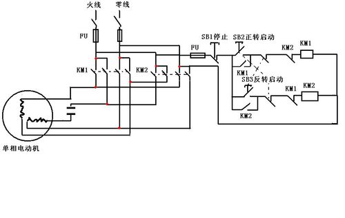 单相电机怎么过热保护（单相电机过热保护器坏了怎么外接）-图1