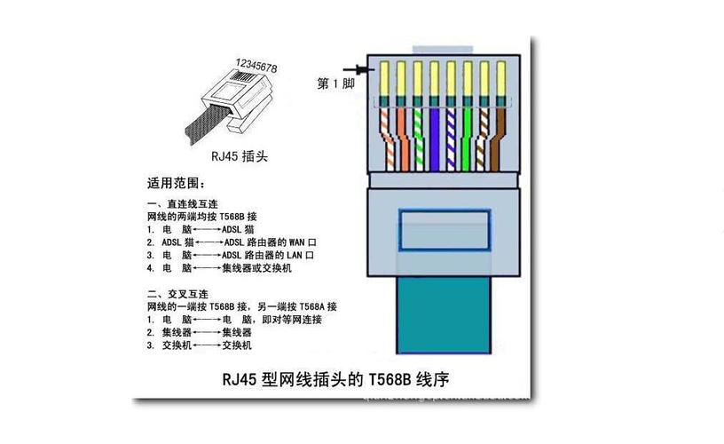 网线与网线接头怎么接（网线与网线接头怎么接的）-图1