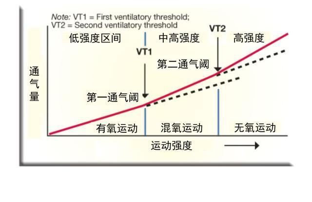 心率VT1怎么测（vt1心率计算）-图2