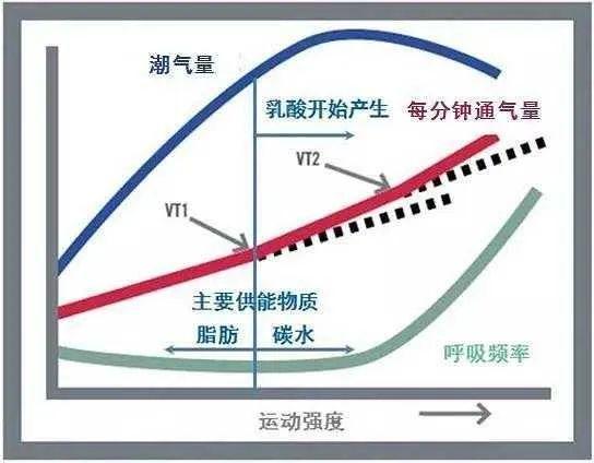 心率VT1怎么测（vt1心率计算）-图3