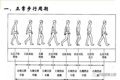 步伐标准（步伐长度）-图1