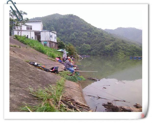 梅田水库钓鱼怎么收费（洞口梅田水库）