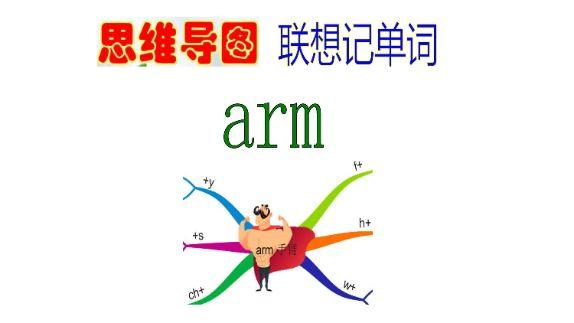 arm怎么记忆（arm怎么记忆这个单词）-图2