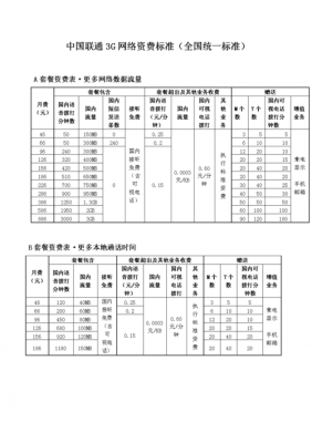 我国3g技术标准（在3g技术标准中由中国提出的技术标准是）