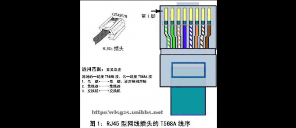 网线接口标准化名称（网线接口名称是什么）-图2