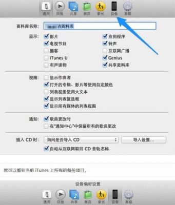 iphone设备偏好设置（设备偏好设置在哪）-图2