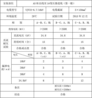 10kv电气耐压标准（10kv设备耐压试验标标准值）-图2