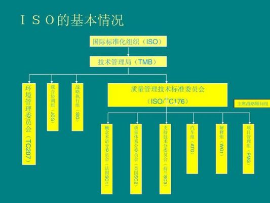 包含iso是标准化组织吗的词条-图3