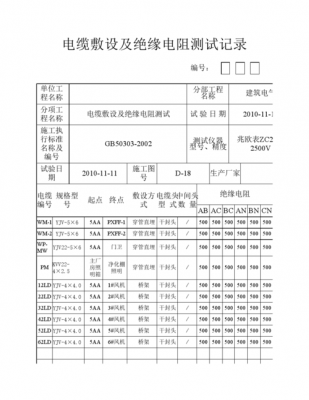 绝缘电阻测试国家标准（绝缘电阻测试阻值要求多少）-图2